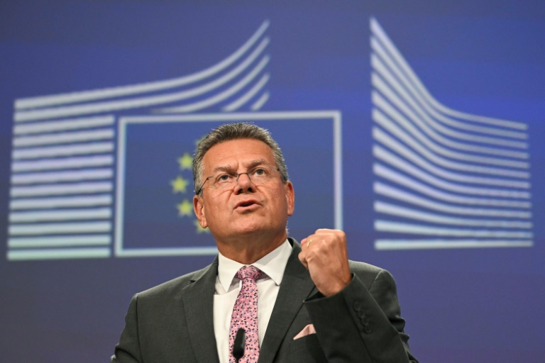 Trade deal with South America: EU presents Mercosur deal for member states' approval