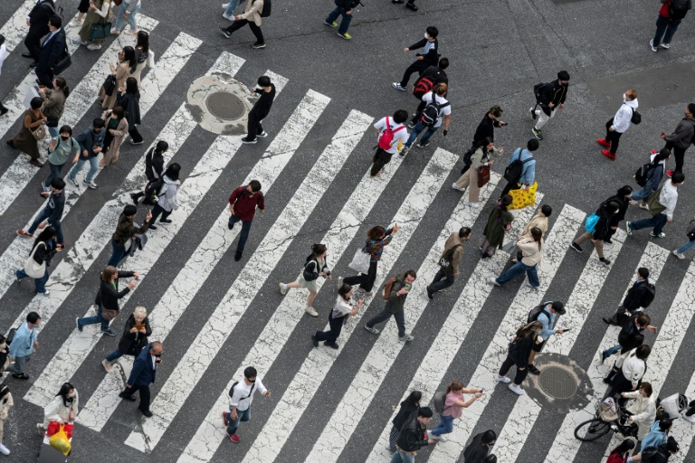 Amid fresh gold peak: Most Asian markets rise on US rate hopes, Tokyo hits record