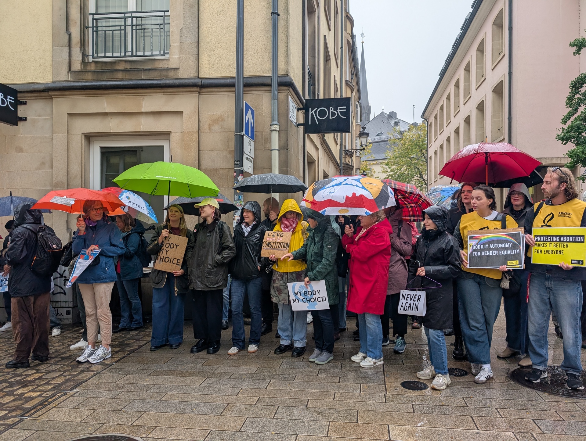 In France's footsteps: Luxembourg's journey to constitutionalising abortion begins