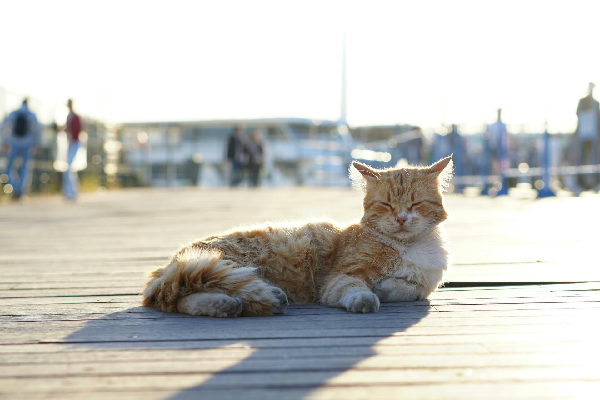 From Thursday onwards: Luxembourgers rejoice: the return of good weather