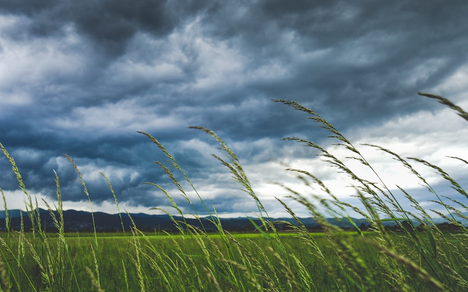 Weather & Traffic: Wednesday 17 September: it's a breeze
