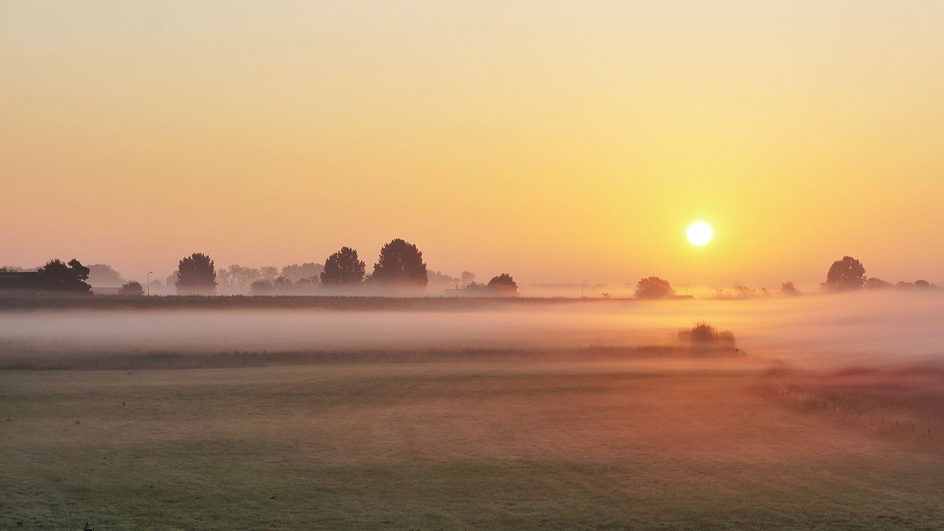 Weather & Traffic: Thursday 2 October: Same old song