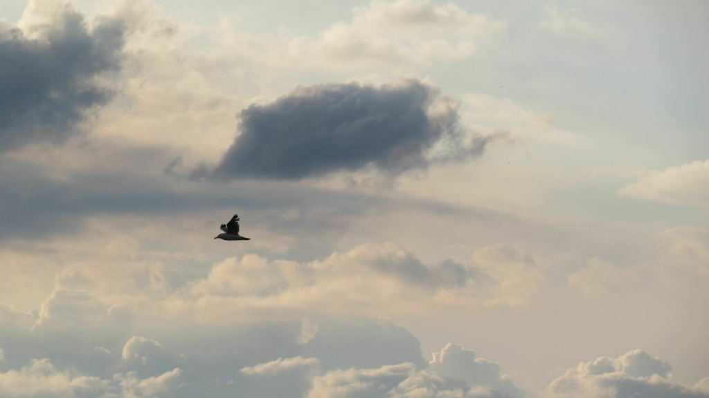 Weather & Traffic: Sunday 12 October: Believe it or not, it's a new day
