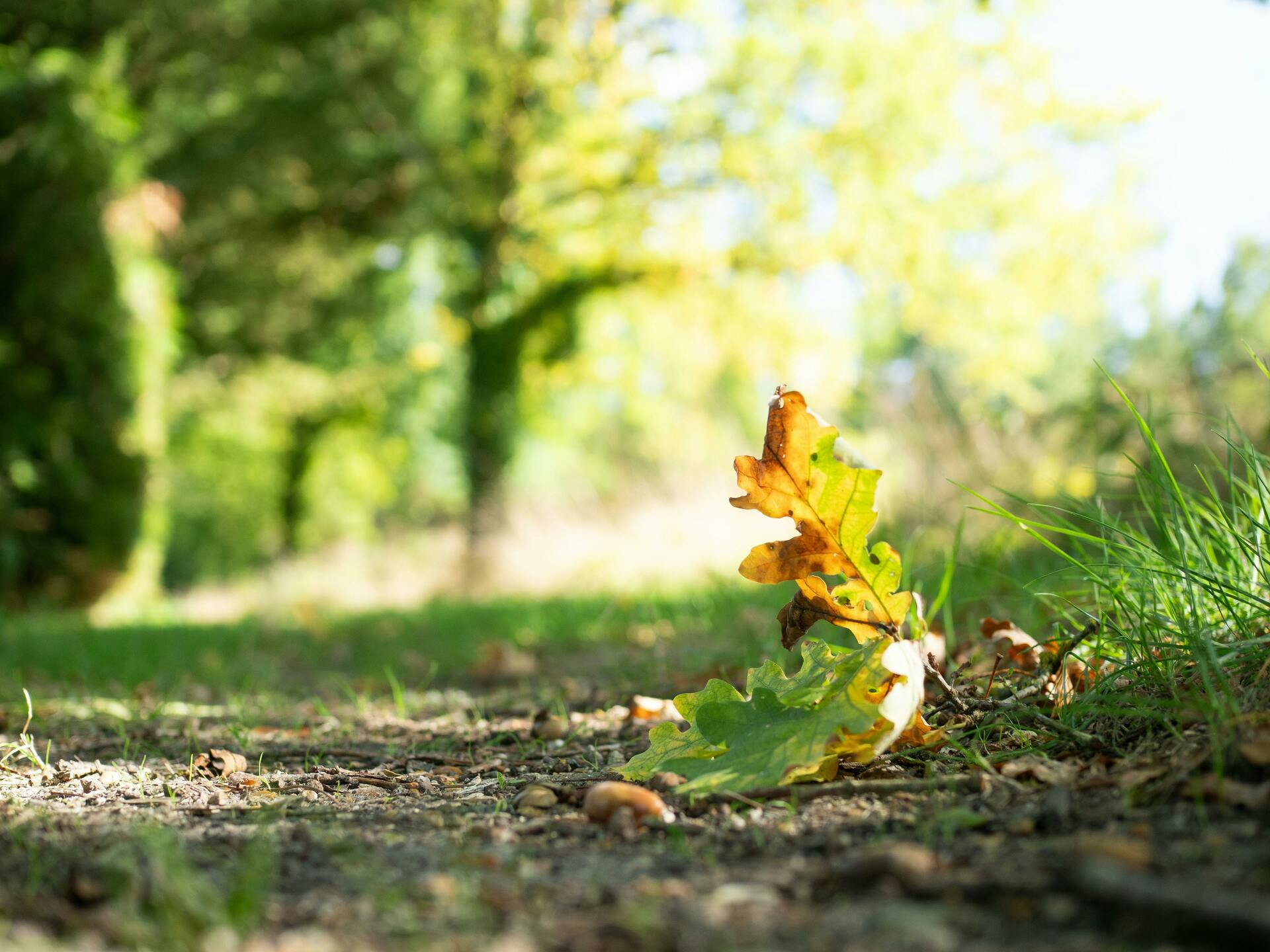 Weather & Traffic: Monday 13 October: A little bit of everything, but mostly cloud