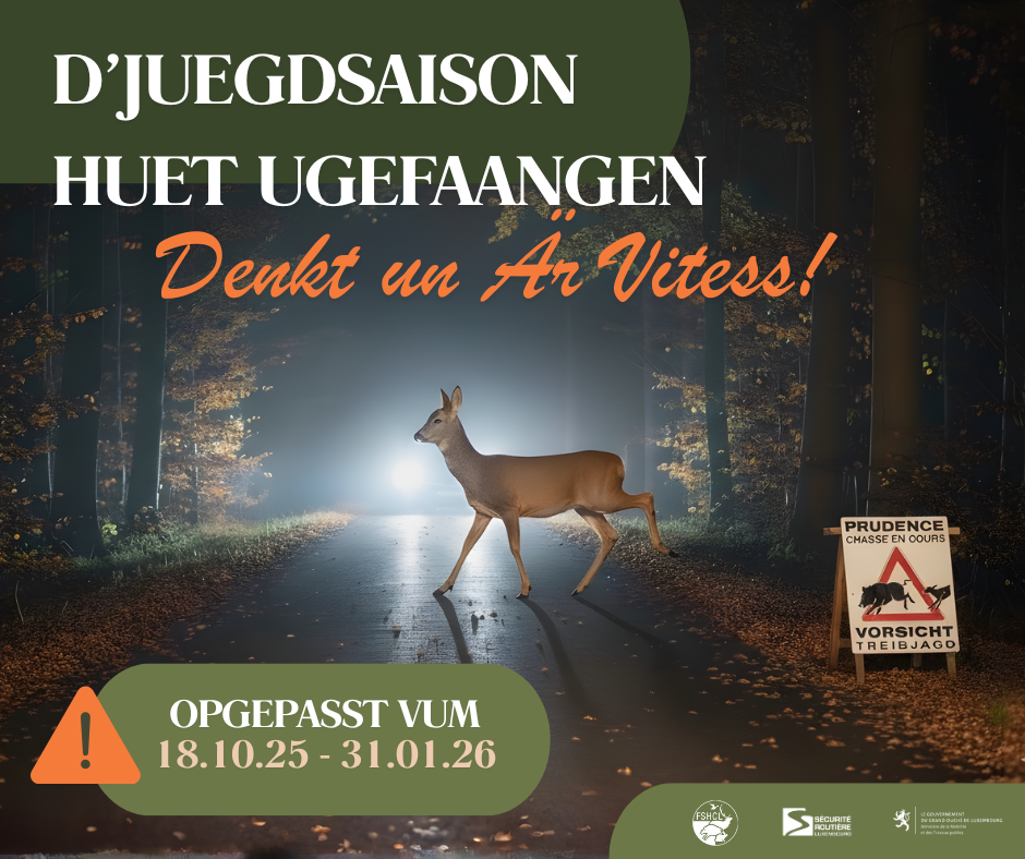 Until January: Hunting season prompts calls for caution on roadways