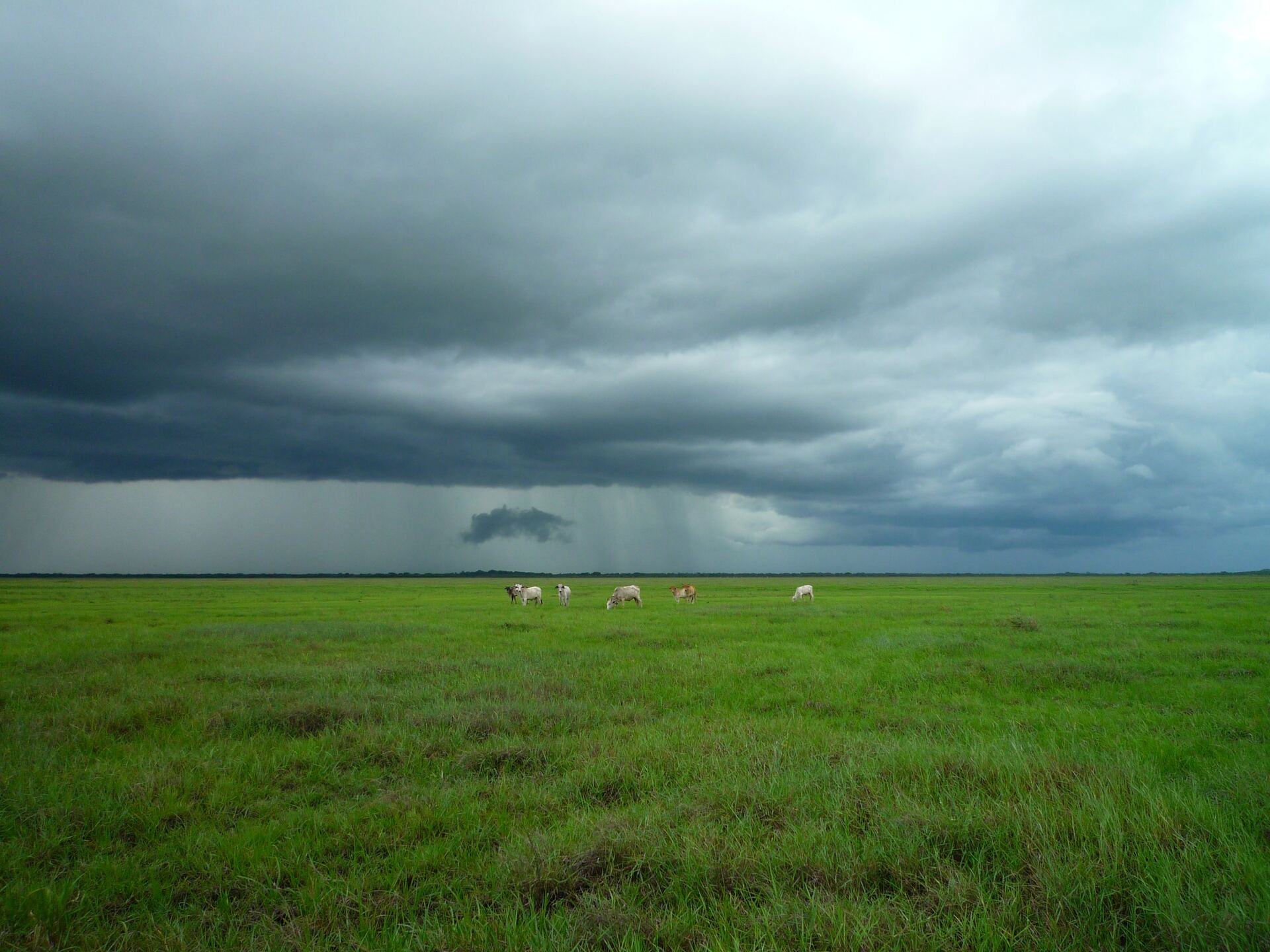 Weather & Traffic: Thursday 16 October: Wow, would you look at that! The sky is...grey