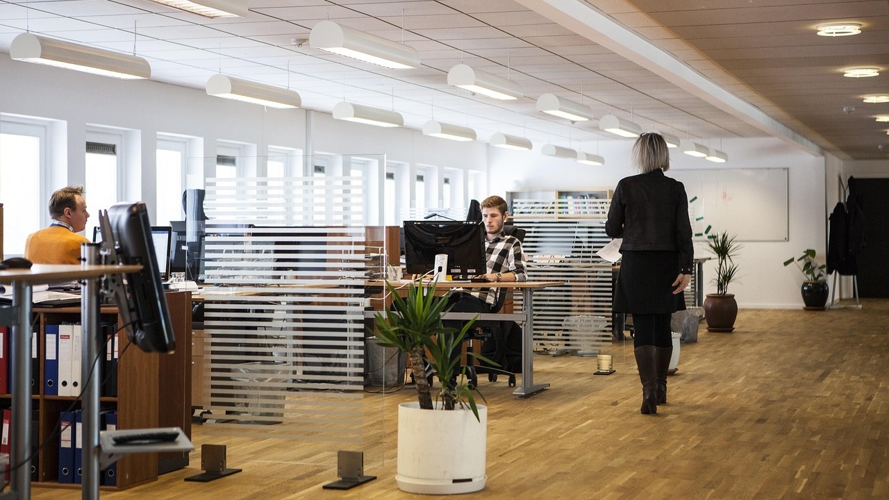 More experienced, not obsolete: Luxembourg lags behind OECD in employment of older workers