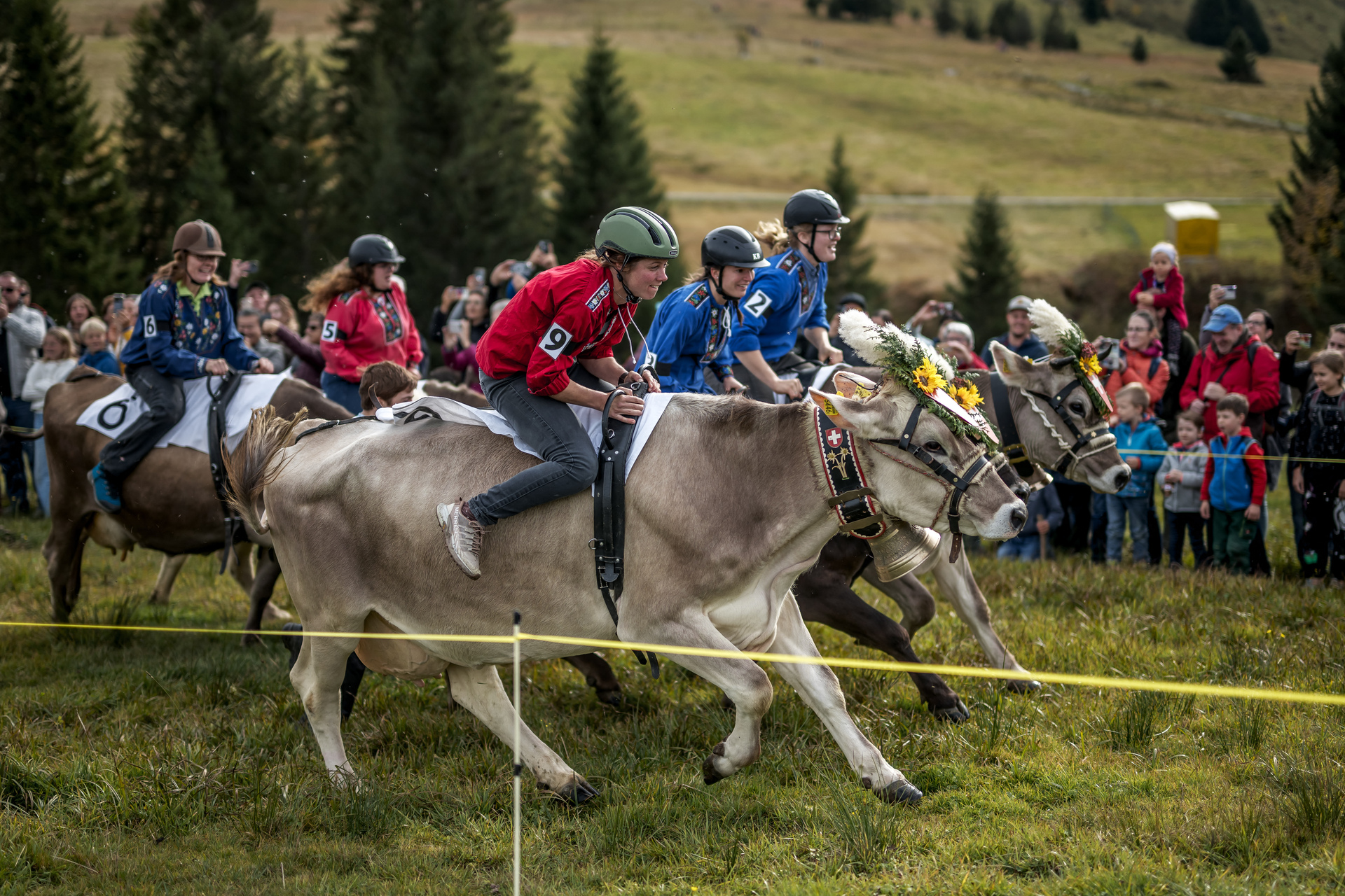 Women jockeys saddle up for Swiss Cow Grand Prix