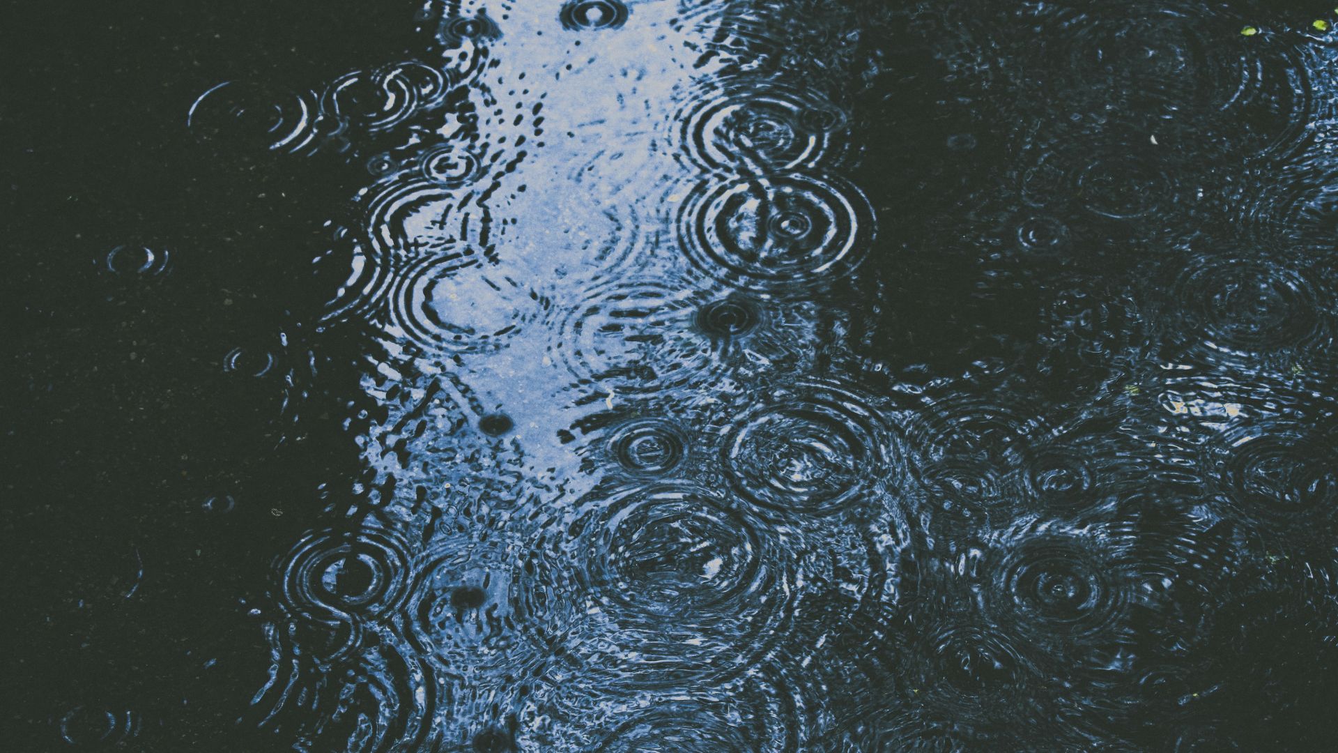 Weather & Traffic: Tuesday 21 October: cloudy with a chance of showers