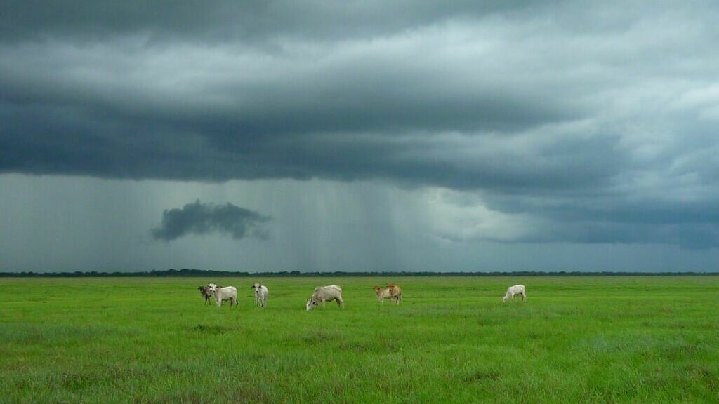 Weather & Traffic: Saturday 25 October: A mixed bag