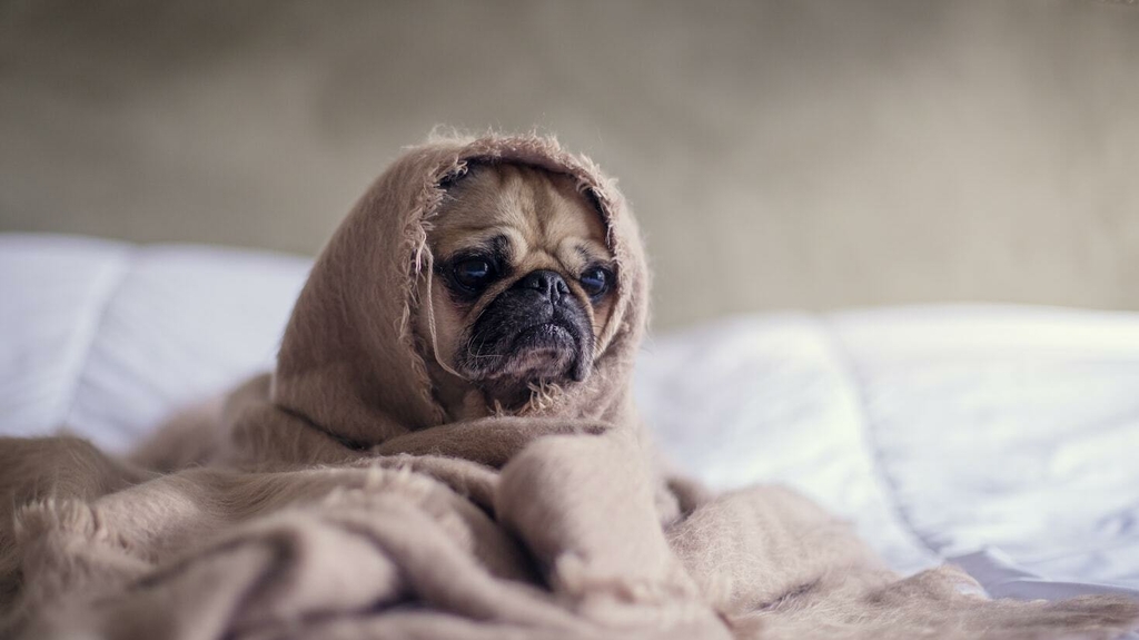 Weather & Traffic: Sunday 26 October: We chill on Sunday