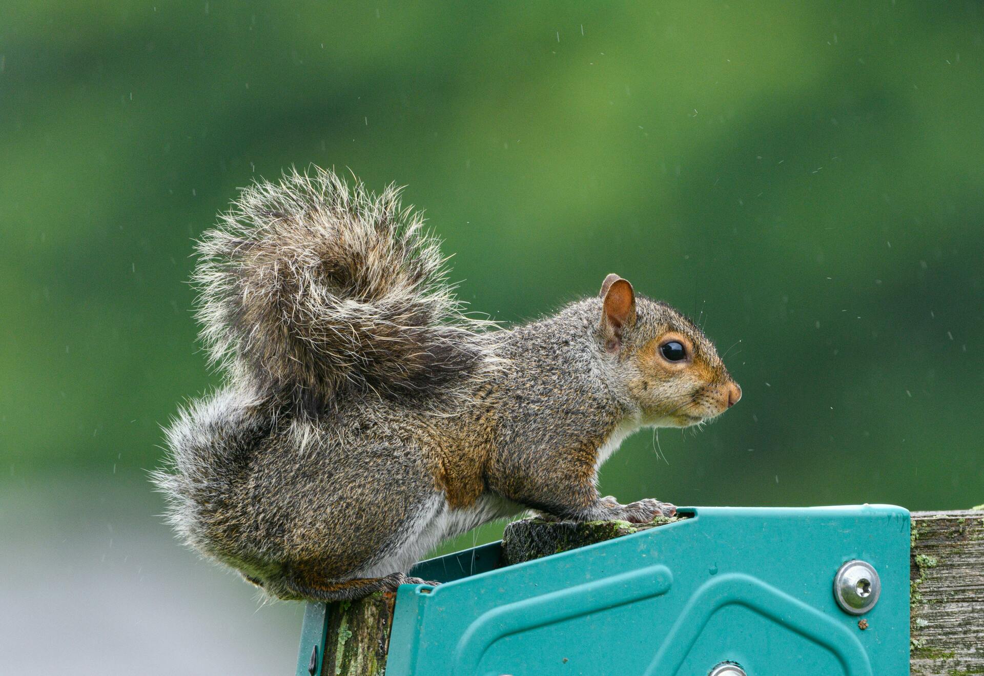 Weather & Traffic: Monday 27 October: Start your week with a shower