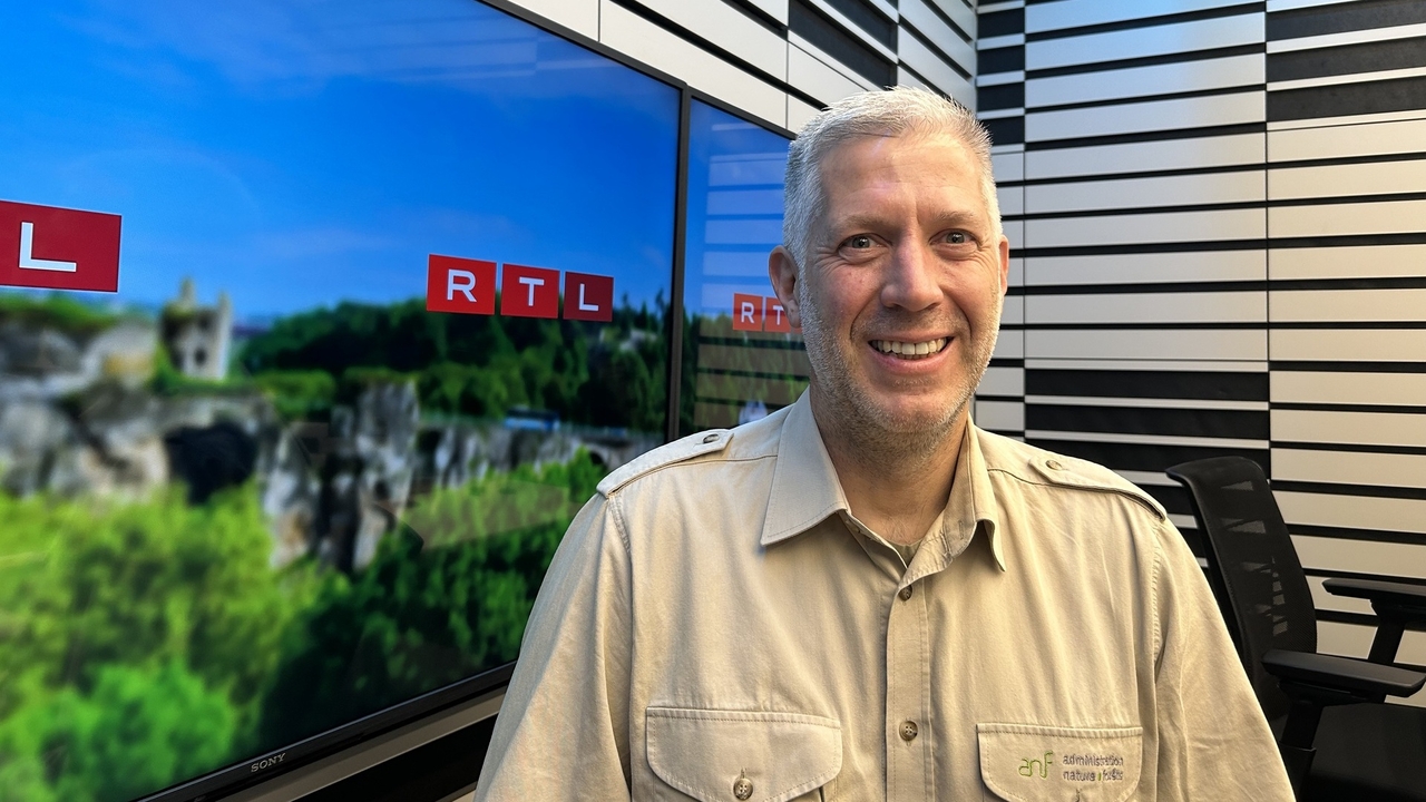 'Brutal deterioration': Luxembourg's forests in severe decline, says top official