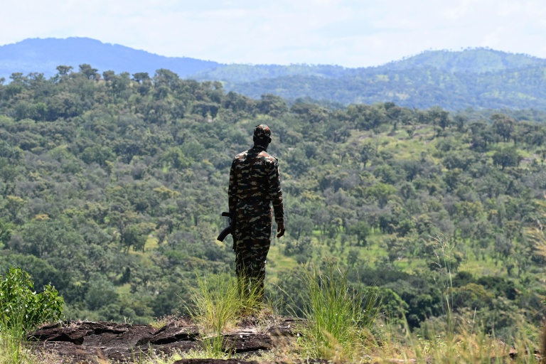 Pillaged I.Coast nature reserve on the mend after crisis decade