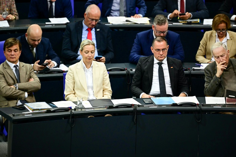 Germany's far-right AfD accused of harbouring Russian 'sleeper cell'