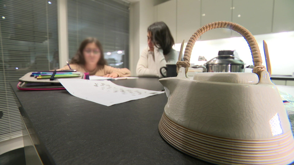 Homework stress: Luxembourg parents call for rethink of primary school workload