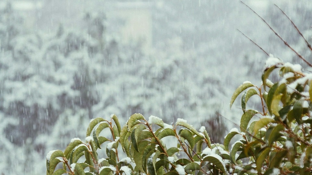 Weather & Traffic: Saturday 15 November: Bring on the blankets and layers!