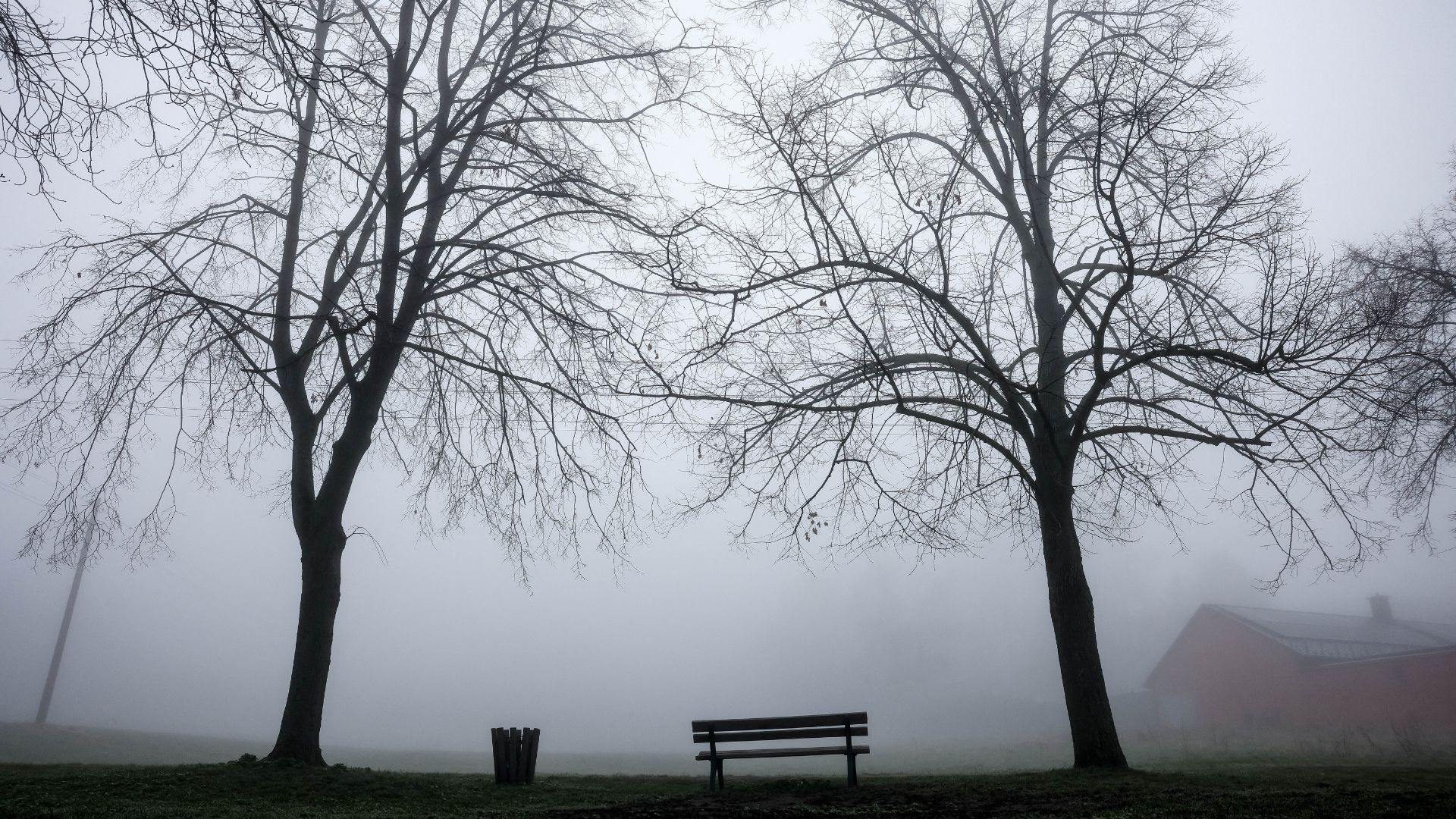 Weather & Traffic: Sunday 16 November: The Dull Luxembourger's Club