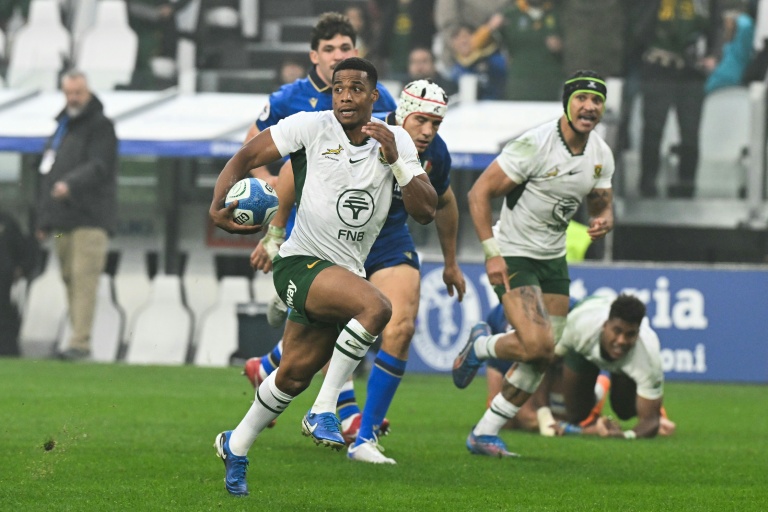 Rugby union: South Africa defy early red card to beat Italy