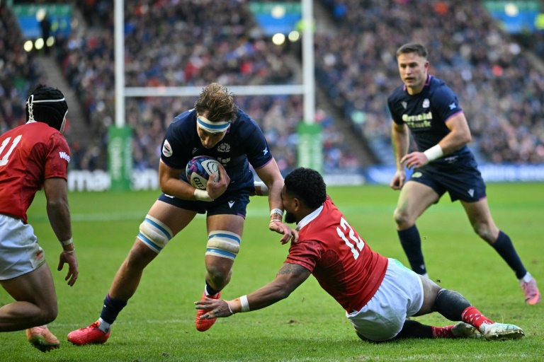 Rugby union: Scotland thrash Tonga in Autumn Nations finale