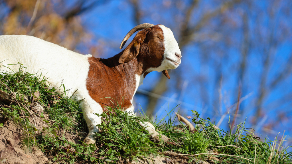 Weather & Traffic: Wednesday 26 November: Hoping for momentary sunshine