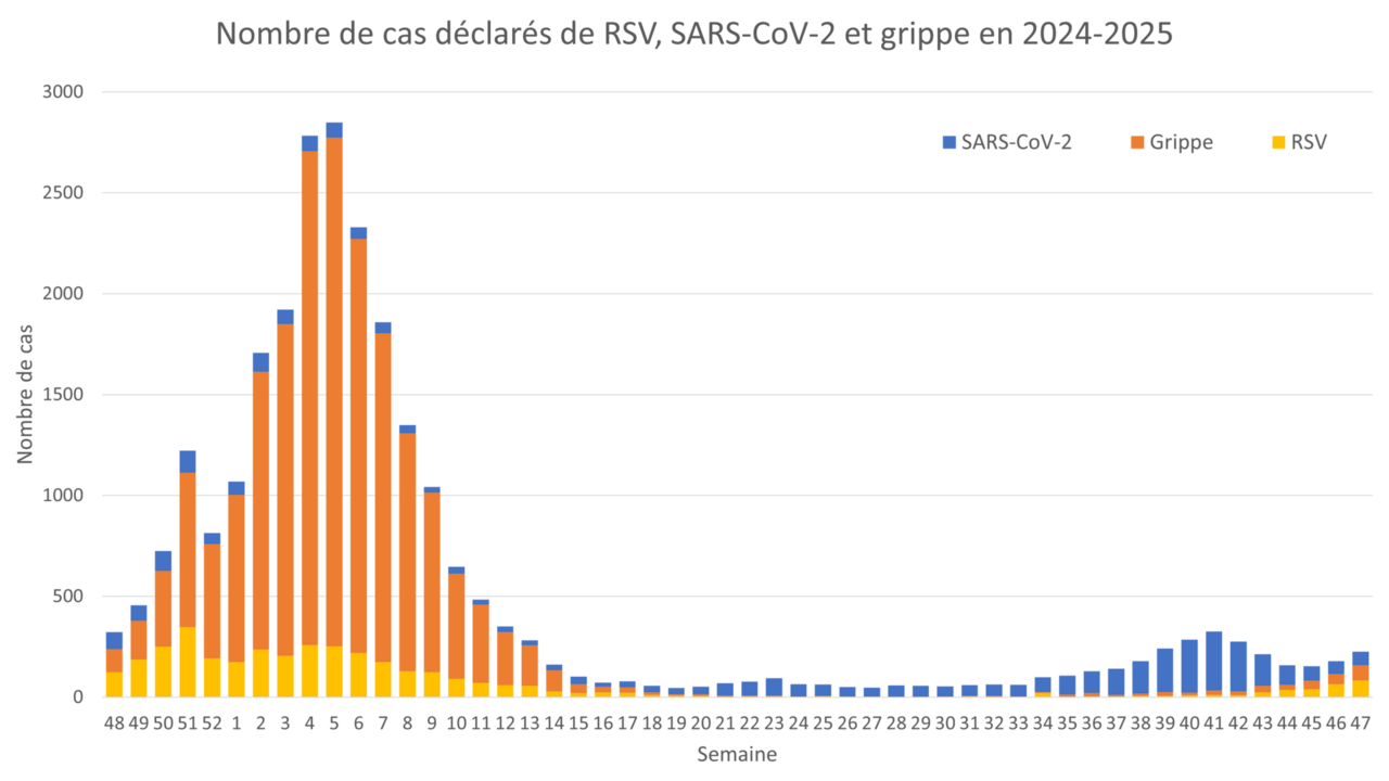 Respiratory infections: Flu infections rise in Luxembourg, Covid cases unchanged