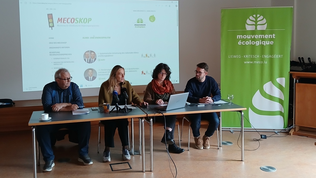 Ecological Movement: Environmental ministry 'often draws the short straw', says Mouveco