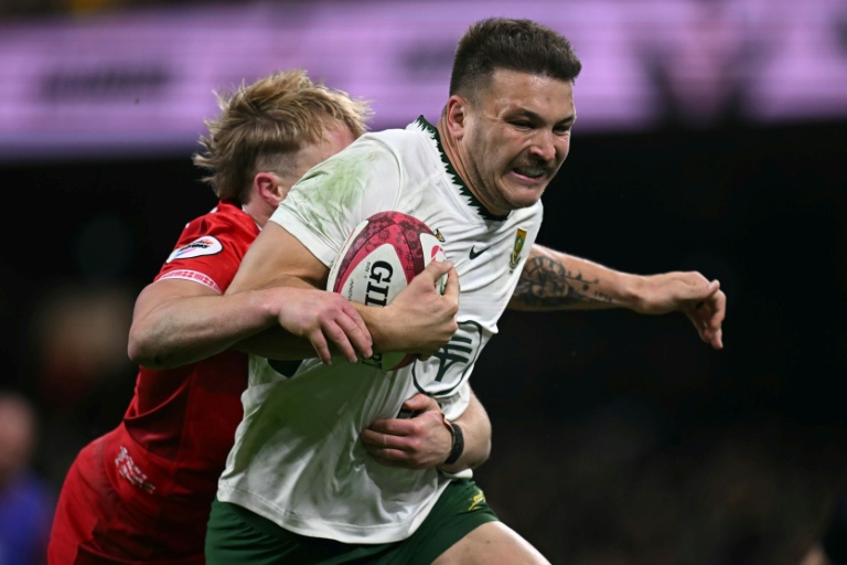 Erasmus hails Springboks' 'proper performance' after Wales thrashing
